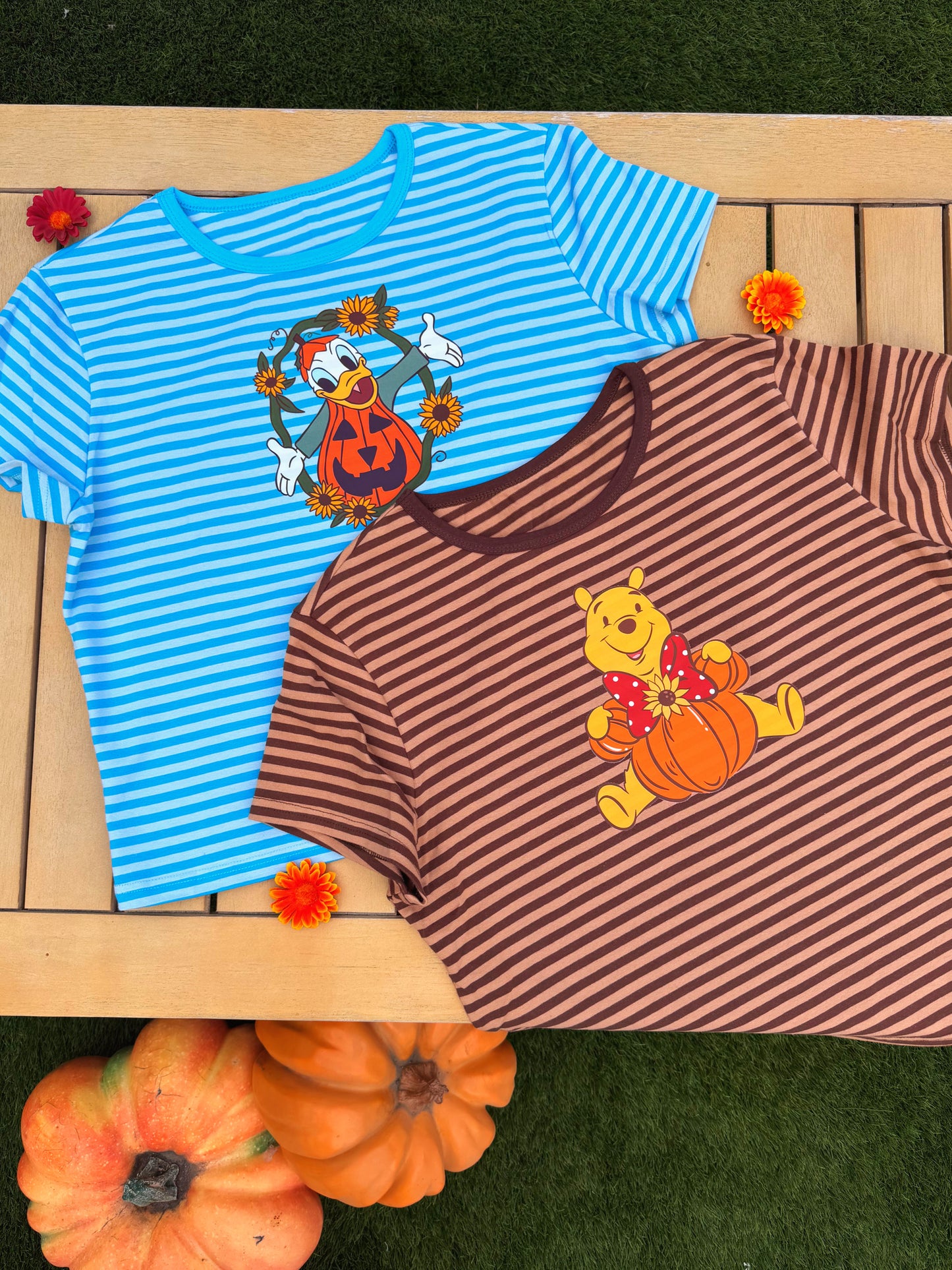 Fall Stripes PRE-ORDER (LATE AUG)